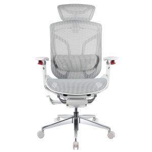 GTCHAIR Dvary X Pro 5D Armrest High Back Mesh Ergonomic Office Chair - Grey