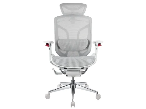 GTCHAIR Dvary X Pro 5D Armrest High Back Mesh Ergonomic Office Chair - Grey
