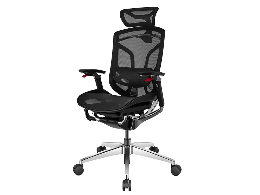 GTChair Dvary X Pro 5D Armrest Mesh Ergonomic Office Swivel Chair - Black