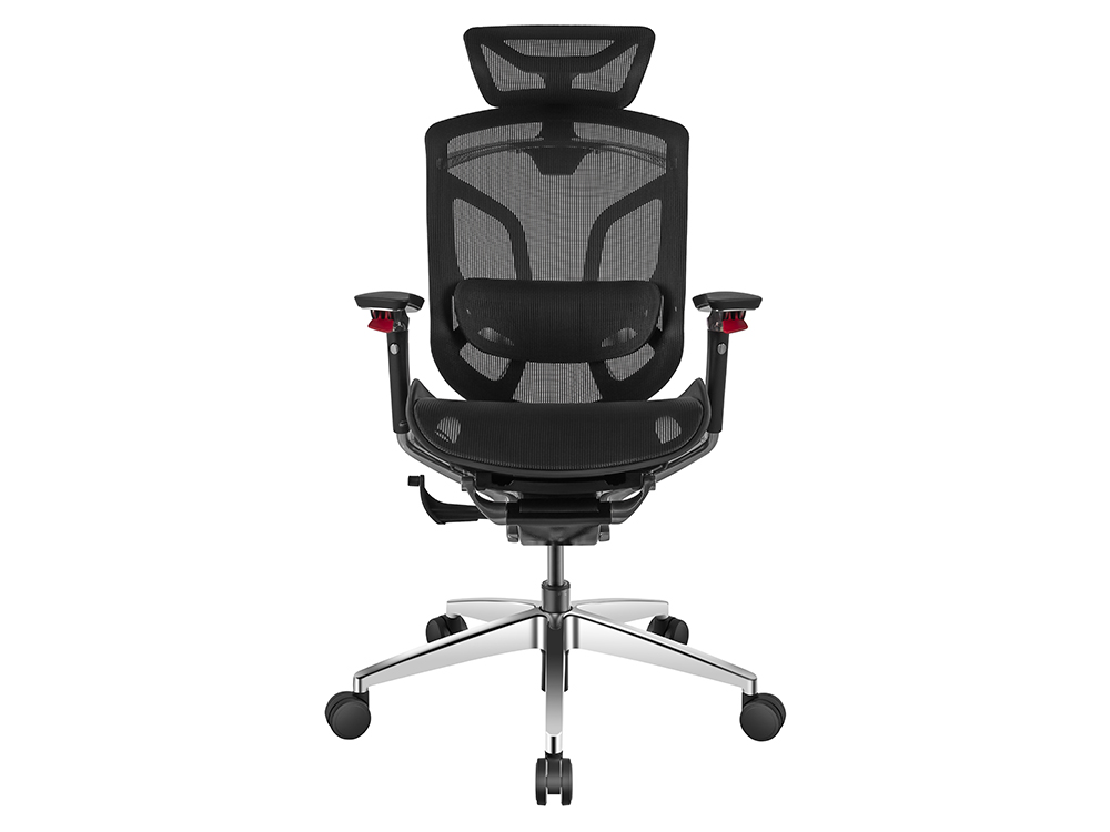 GTChair Dvary X Pro 5D Armrest Mesh Ergonomic Office Swivel Chair - Black