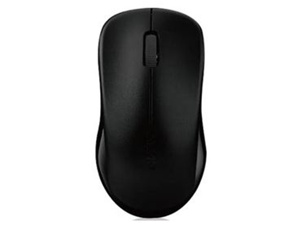Rapoo 1620 Wireless Optical Mouse - Black
