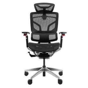 GTChair Alien X 5D Armrest High Back Mesh Ergonomic Office Chair - Black